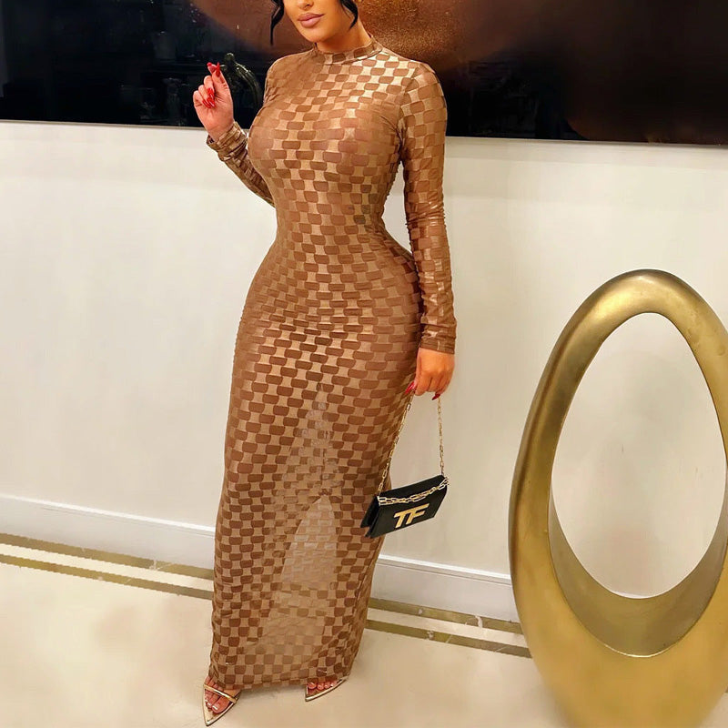 Solid Sheer Mesh Long Sleeve Maxi Dress