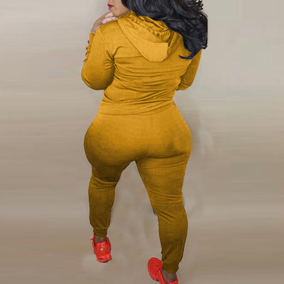 Solid Zipper Design Cut Out Crop Top & Pants Set