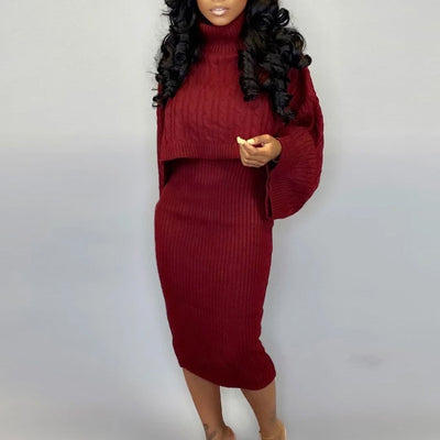 Solid Turtle Neck Long Sleeve Sweater & Dress Set