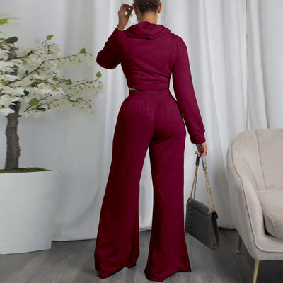 Solid Long Sleeve Irregular Hoodie Top & Wide Leg Pants Set