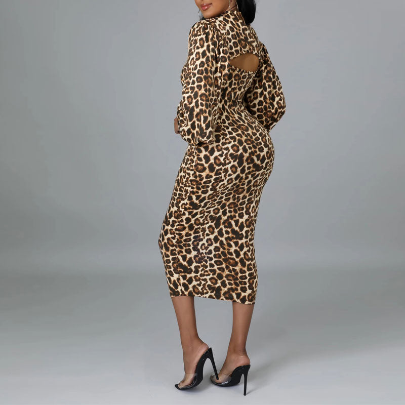 Leopard Print Long Sleeve 2PCS Dress Set
