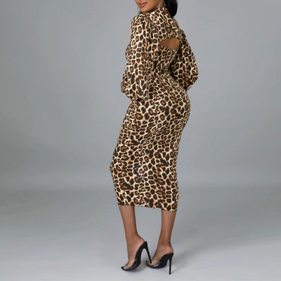 Leopard Print Long Sleeve 2PCS Dress Set