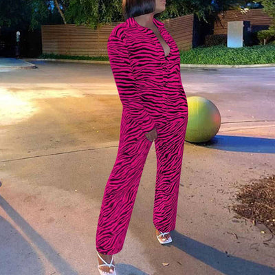 Zebra Print Long Sleeve Blouse & Pants Set