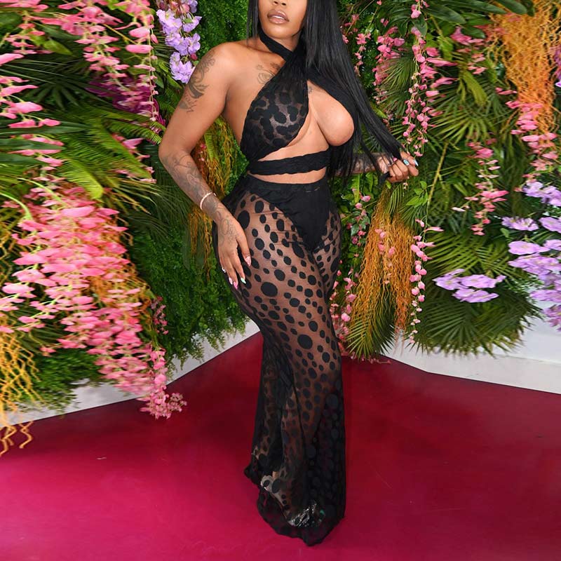 Print Sleeveless Halter Sheer Mesh Two Piece Pants Set
