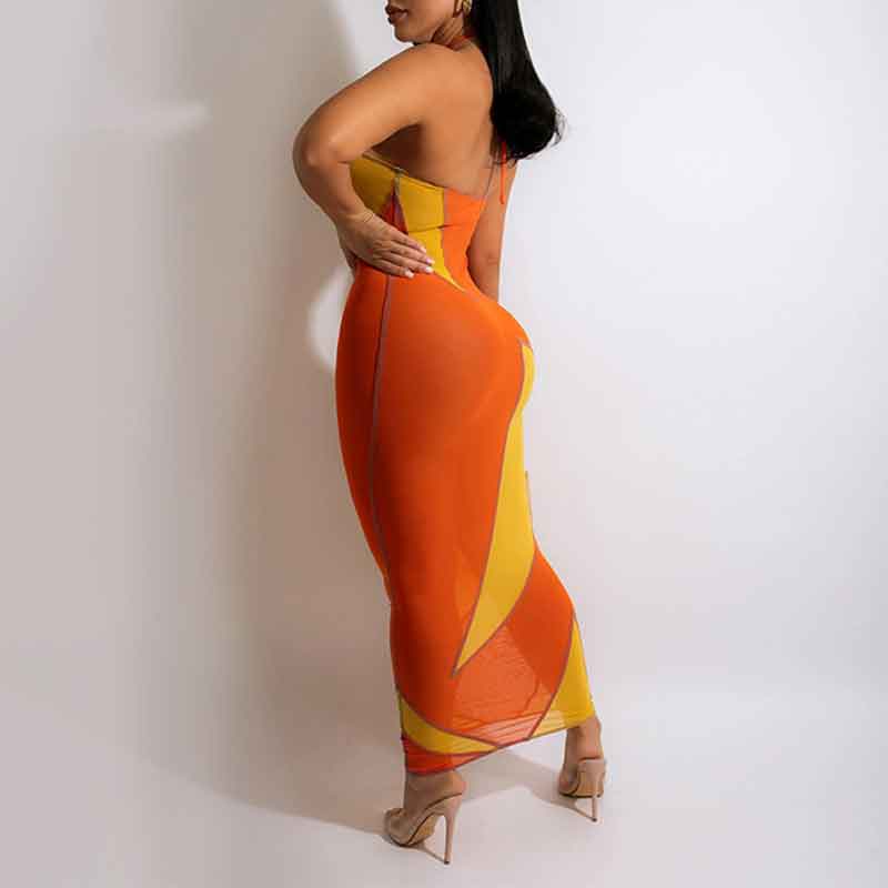 Colorblock Halter Sleeveless Sheer Mesh Maxi Dress