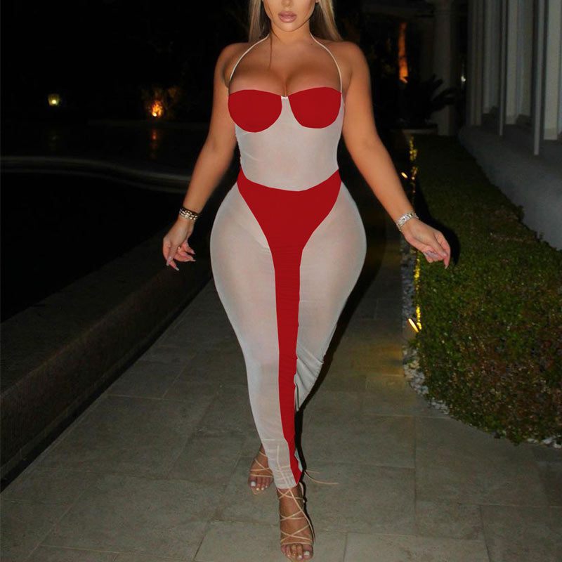 Colorblock Sheer Mesh Bodycon Maxi Dress