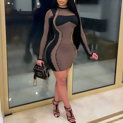 Colorblock Long Sleeve Bodycon Dress