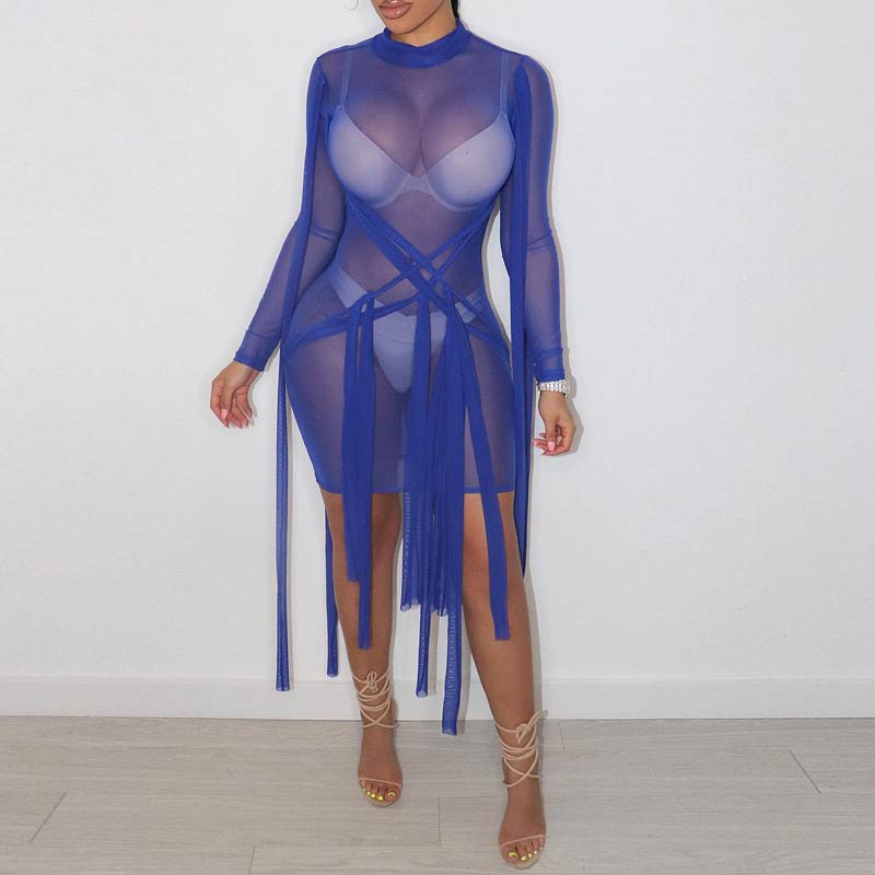 Sheer Mesh Bandage Bodycon Mini Dress