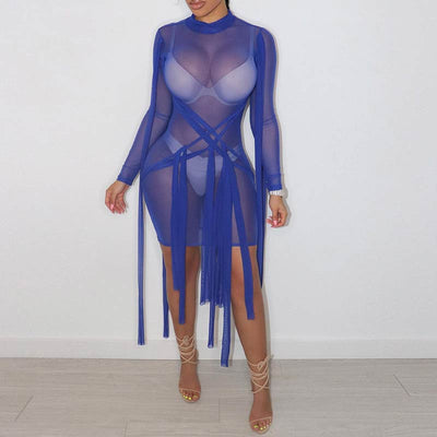 Sheer Mesh Bandage Bodycon Mini Dress