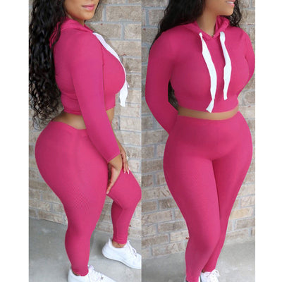 Solid Long Sleeve Hoodie Crop Top & Pants Set