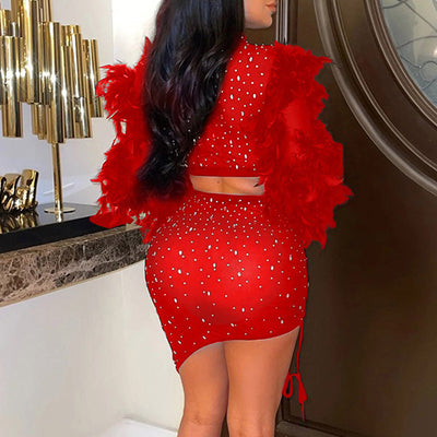 Rhinestone Feather Design Sheer Mesh 2PCS Skirt Set