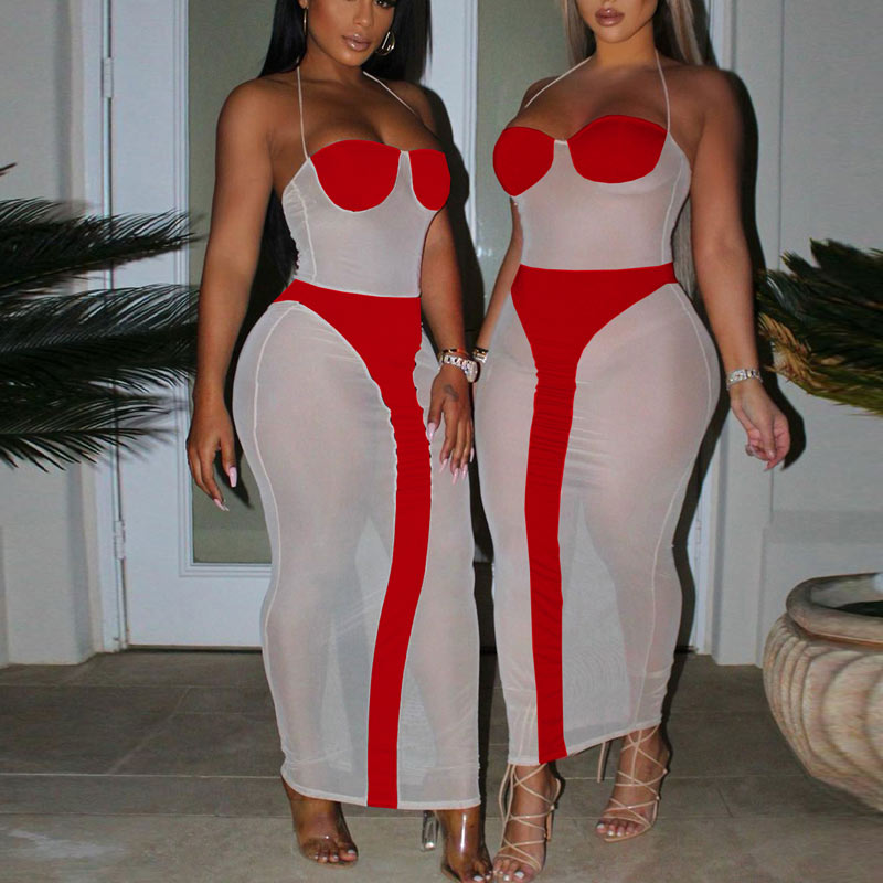 Colorblock Sheer Mesh Bodycon Maxi Dress