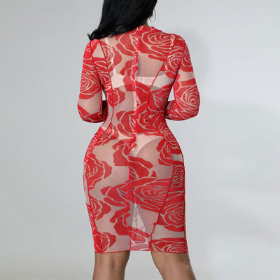 Floral Print Long Sleeve Sheer Mesh Bodycon Dress