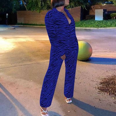 Zebra Print Long Sleeve Blouse & Pants Set