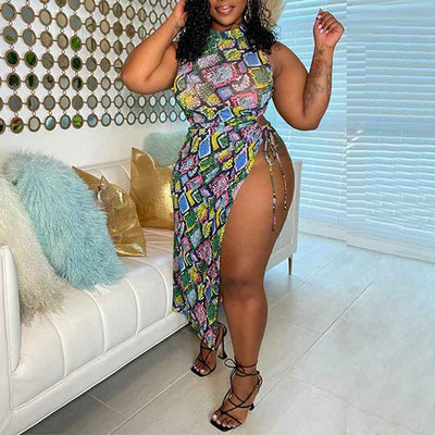 Print Sleeveless Sheer Mesh High Slit Midi Dress
