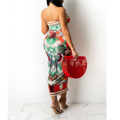 Print Drawstring Tube Top & Skirt Set