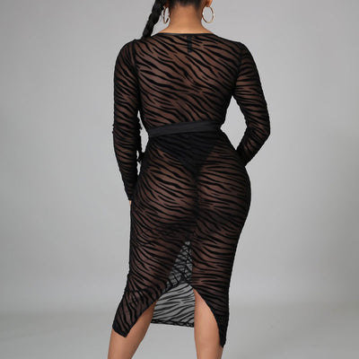 Print Deep V-Neck Long Sleeve Sheer Mesh Belted Midi Dress