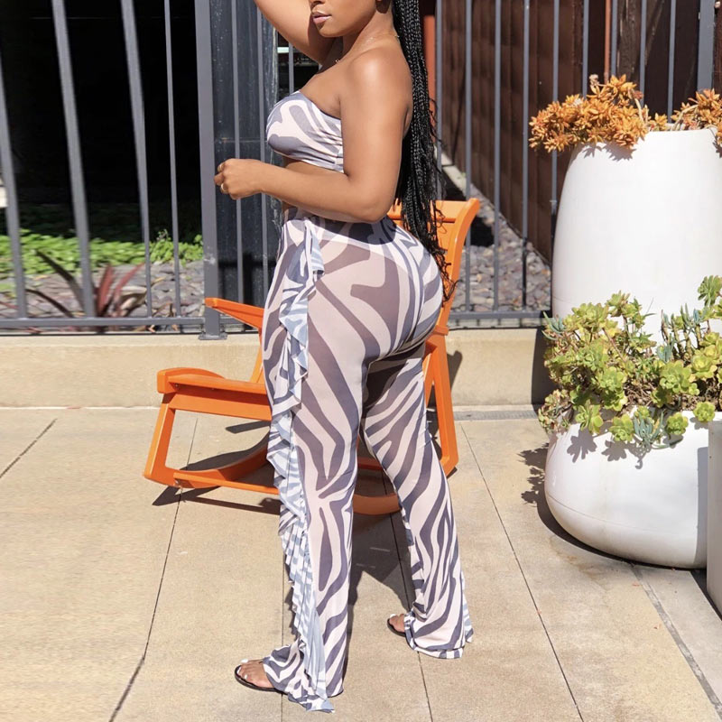 Sheer Mesh Ruffles Zebra Print 2 PCS Set